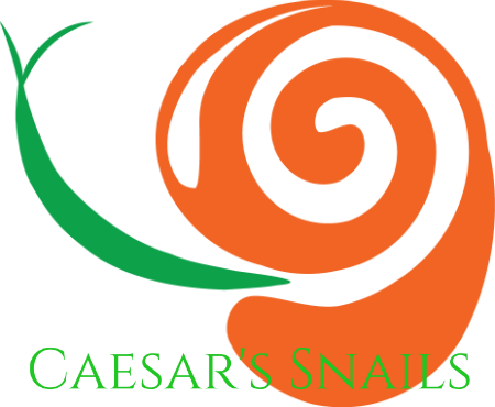 Caesar's Snails